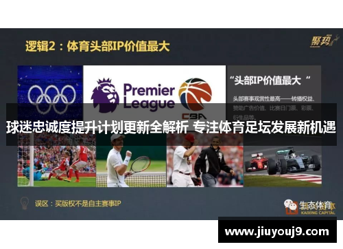 球迷忠诚度提升计划更新全解析 专注体育足坛发展新机遇 球迷忠诚度提升计划更新全解析 专注体育足坛发展新机遇