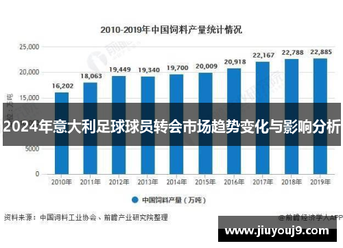 2024年意大利足球球员转会市场趋势变化与影响分析