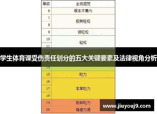 学生体育课受伤责任划分的五大关键要素及法律视角分析