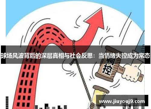 球场风波背后的深层真相与社会反思：当情绪失控成为常态