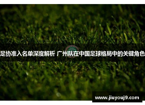 足协准入名单深度解析 广州队在中国足球格局中的关键角色
