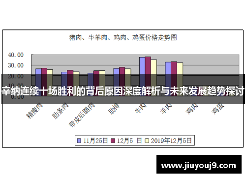 辛纳连续十场胜利的背后原因深度解析与未来发展趋势探讨