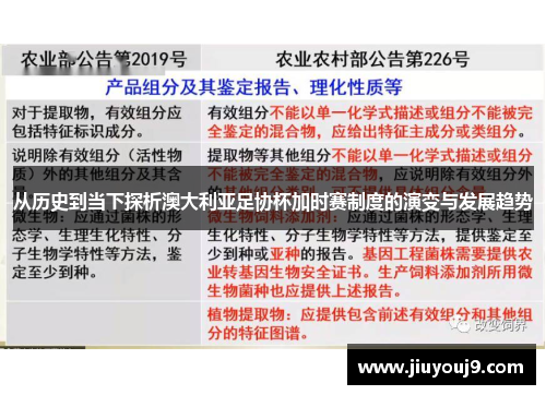 从历史到当下探析澳大利亚足协杯加时赛制度的演变与发展趋势